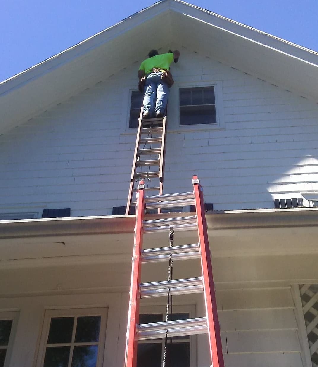 Bat removal specialist at work in rochester ny